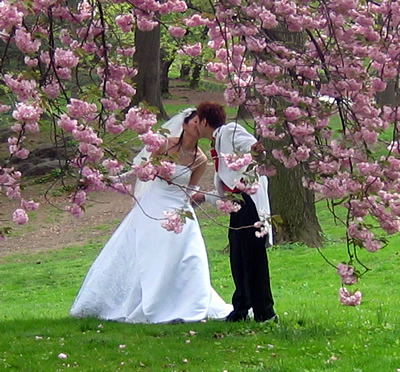  brought in by Spring always make for a great backdrop for any wedding